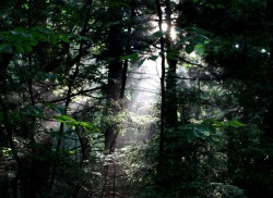 Finalistes Concours photos et vidéos « À travers votre lentille: expériences étudiantes à l’international » 2014 dans la catégorie Carte postale