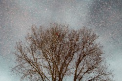 Finalistes Concours photos et vidéos « À travers votre lentille: expériences étudiantes à l’international » 2014 dans la catégorie Carte postale
