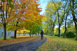 se_baigner_dans_automne