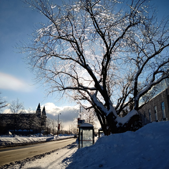 hiverquebecois