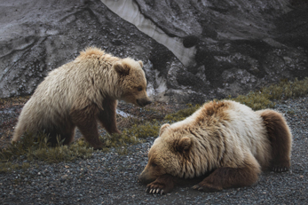 ours