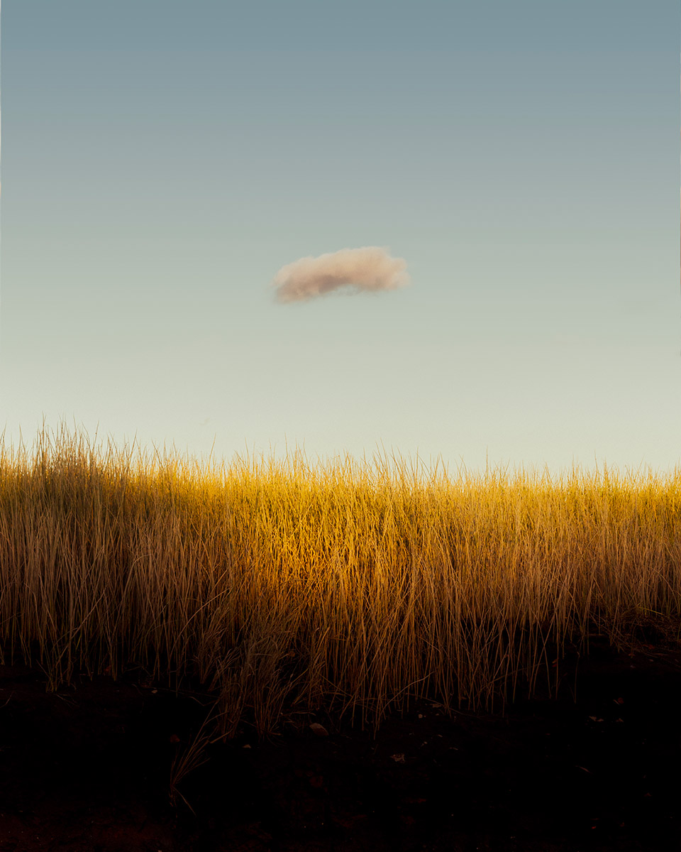 Photo d'un seul nuage dans le ciel au dessus d'un champ.