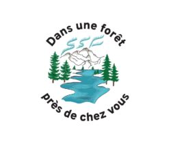Dans une forêt près de chez vous